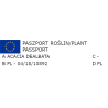 AKACJA SREBRZYSTA